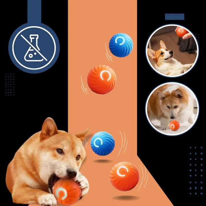 Interactive Dog Ball Toy for Chasing and Avoidance Play