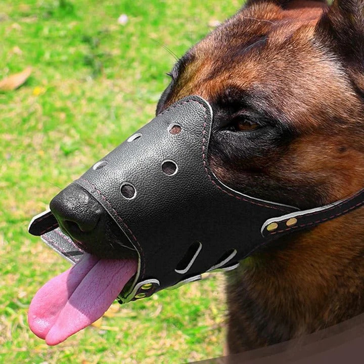 Dog Muzzle Breathable and Adjustable for Grooming and Walking