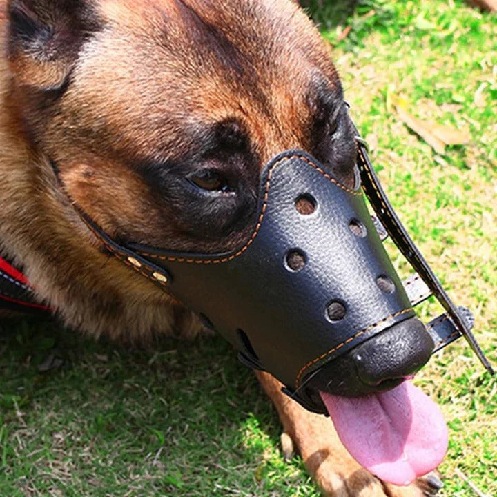 Dog Muzzle Breathable and Adjustable for Grooming and Walking