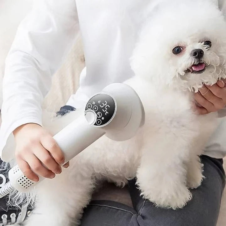 Havenholt Pet Hair Dryer and Blower