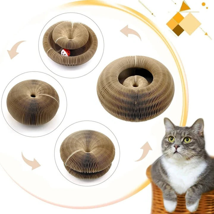Circular Cat Scratcher with Integrated Ball Track