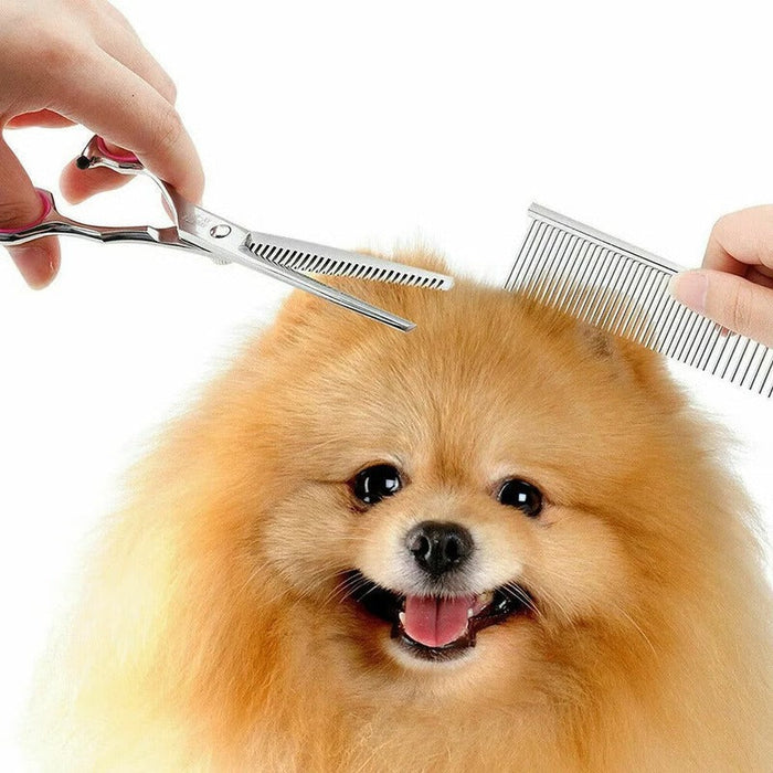 Havenholt Pet Grooming Scissor Set in Stainless Steel