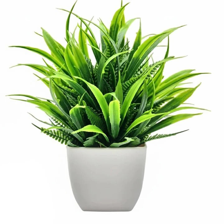 Artificial Plants for Interior Decoration