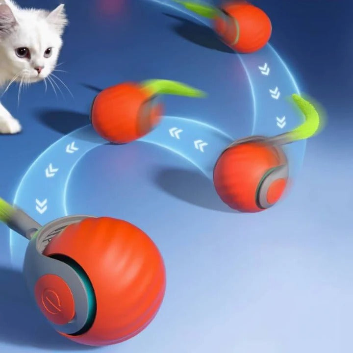 Electronic Interactive Cat Toy for Indoor Play