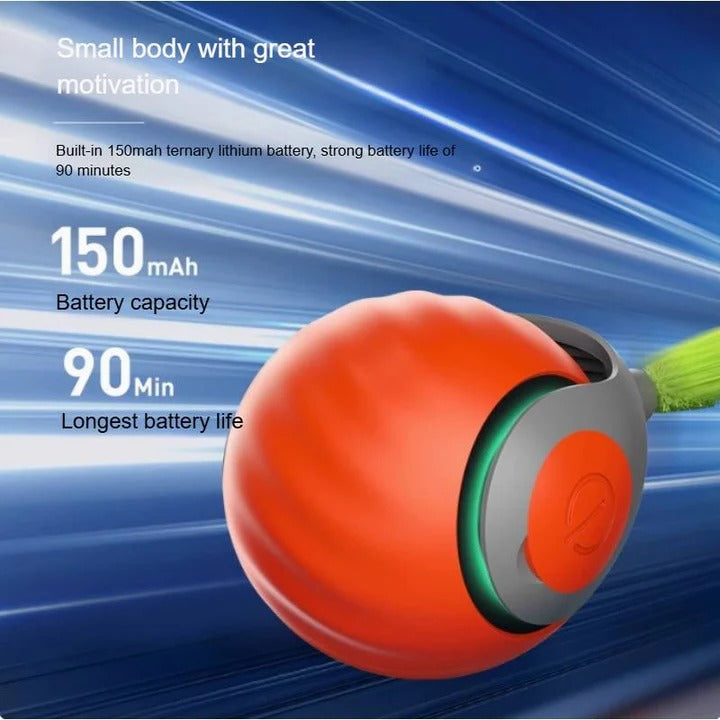 Electronic Interactive Cat Toy for Indoor Play