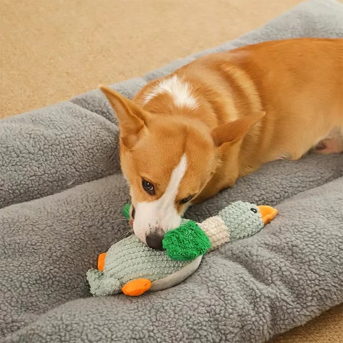 Tough Goose Plush Toy for Strong pet Chewing
