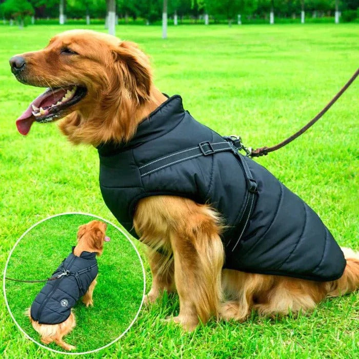 Waterproof Winter Dog Jacket