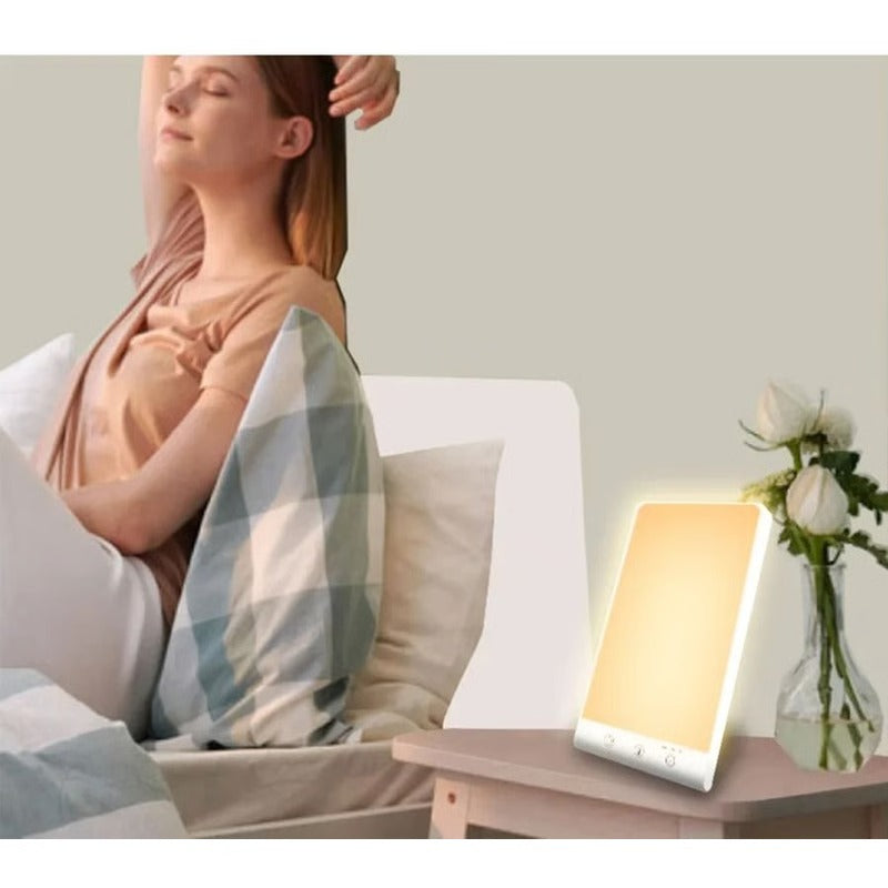 Havenholt Full Spectrum Desk Lamp with Auto Shut-Off Timer