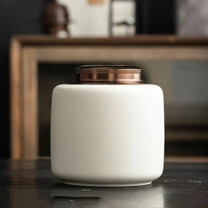 Pet Memorial Urn with Secure Lid, Ceramic Construction