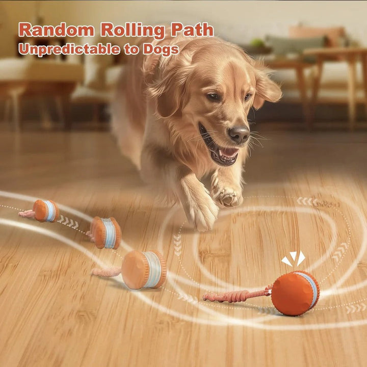 Automatic Rolling Dog Ball Toy with Rope, 2 Piece Interactive Set