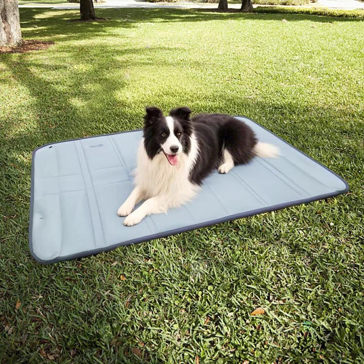 Dog Bag for Travel
