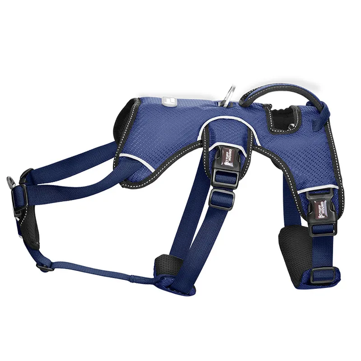 Adjustable Dog Harness with Top Handle and Secure Buckles