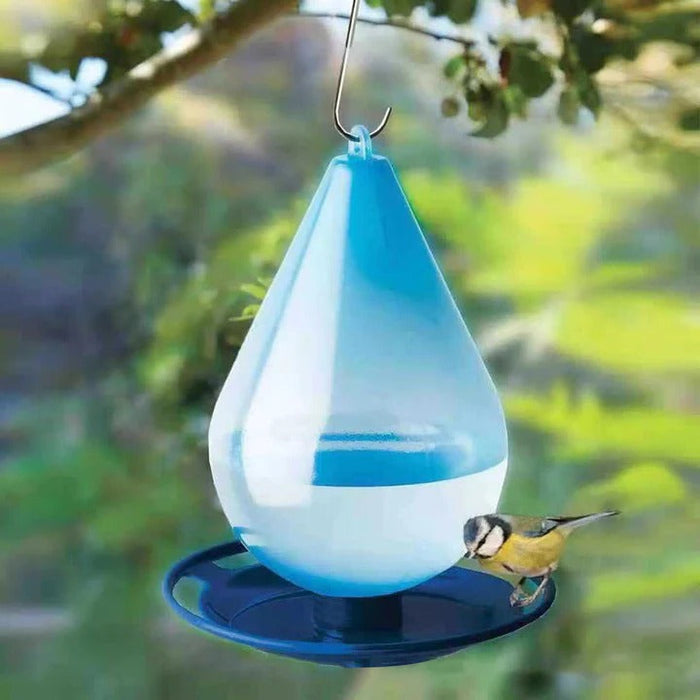 Raindrop Bird Water Feeder