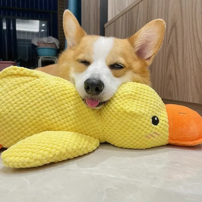 Serene Quacker Friend and Soothing Canine Plush