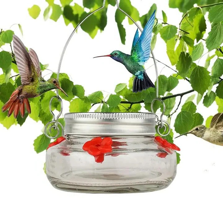 Clear Flower Port Hummingbird Feeder