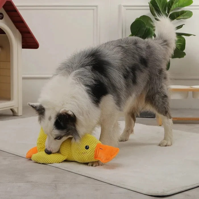 Serene Quacker Friend and Soothing Canine Plush