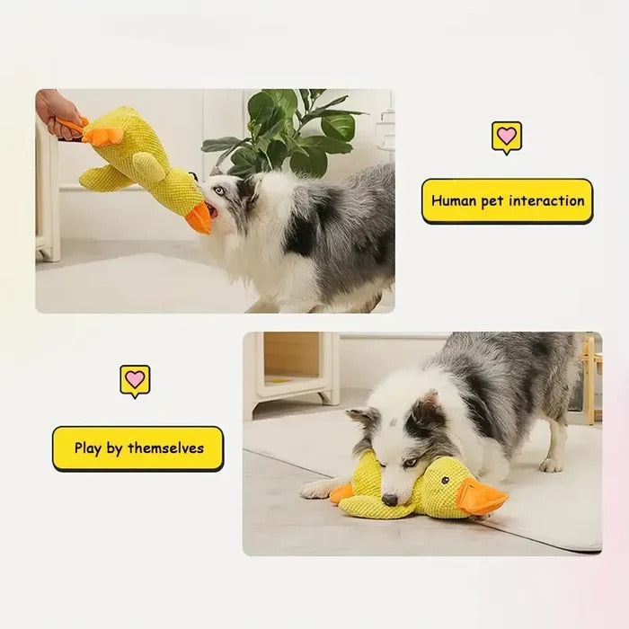 Serene Quacker Friend and Soothing Canine Plush