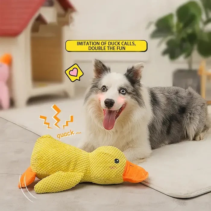 Serene Quacker Friend and Soothing Canine Plush