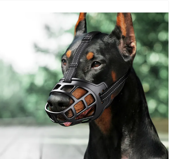 Open Basket Dog Muzzle with Adjustable Straps and Training Guide
