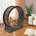 Cat Exercise Wheel