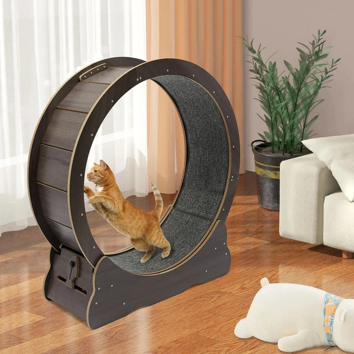 Cat Exercise Wheel