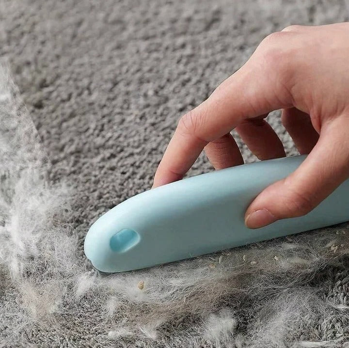 Havenholt Reusable Pet Hair Remover for Furniture