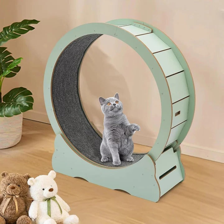 Cat Exercise Wheel