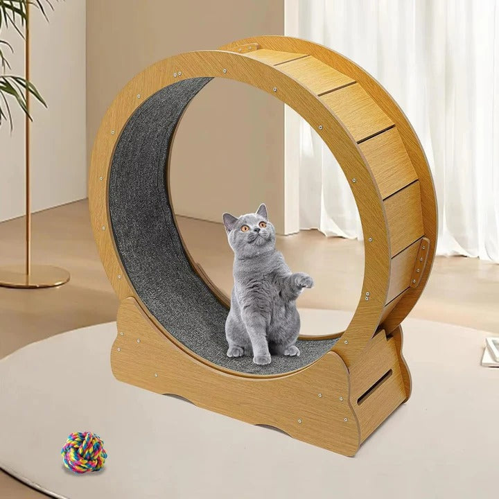 Cat Exercise Wheel