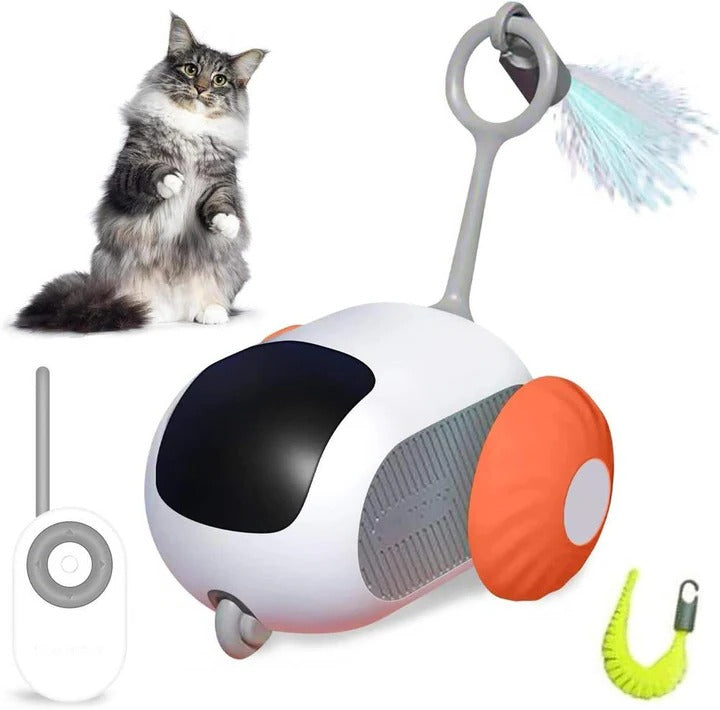 Remote Control Cat Toys