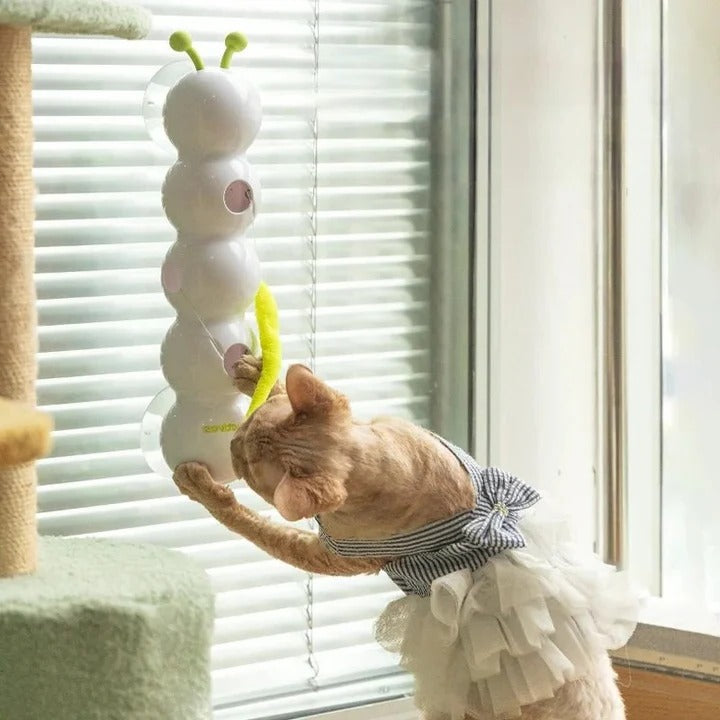 Interactive Worm Pole Cat Toy