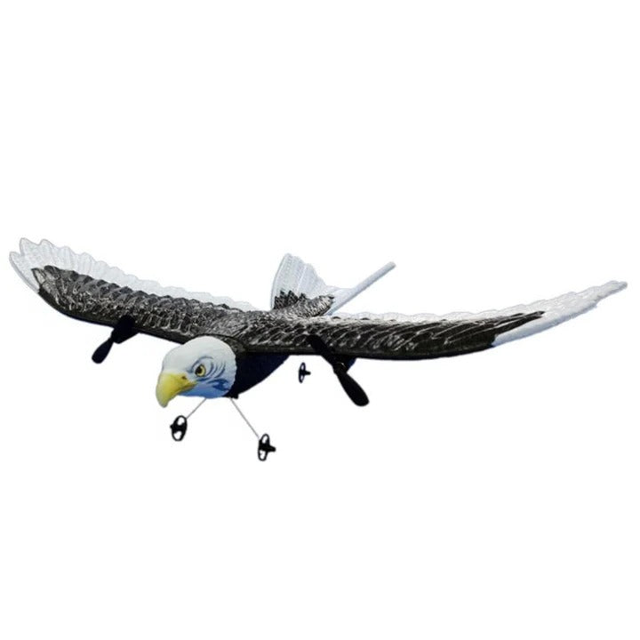 Remote Control Eagle Bird