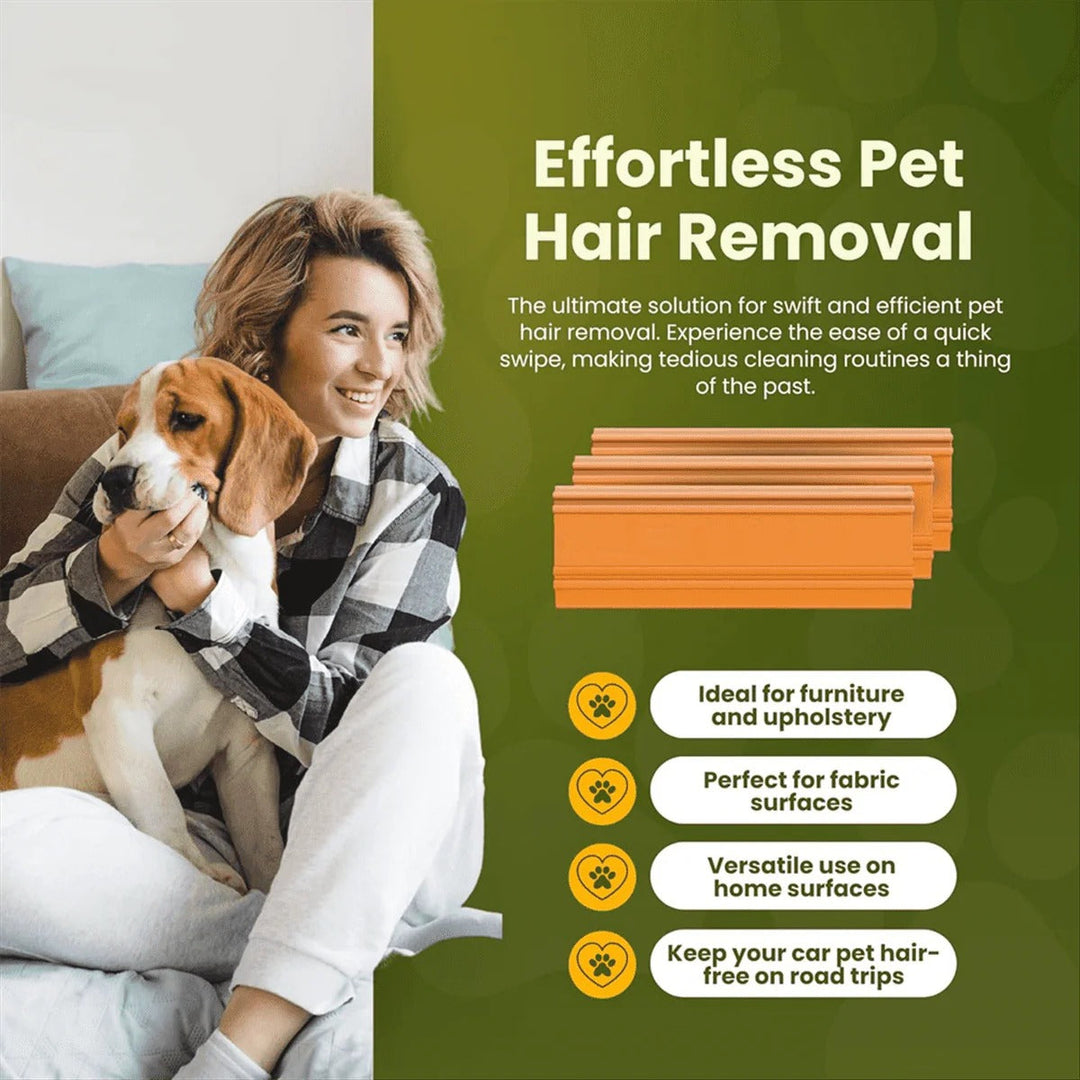 Havenholt Reusable Pet Hair Remover for Car and Sofa