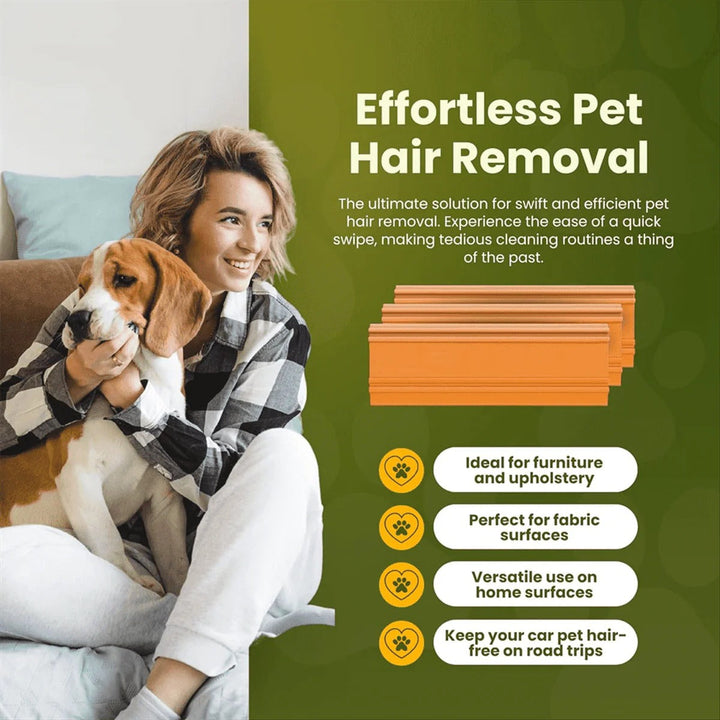 Havenholt Reusable Pet Hair Remover for Car and Sofa
