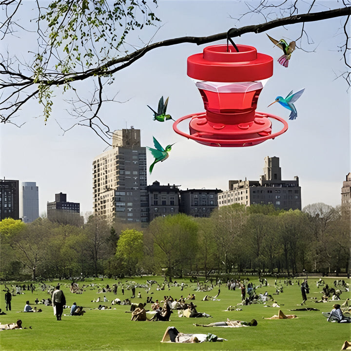 Havenholt Bee-Proof Hummingbird Feeder with Perches