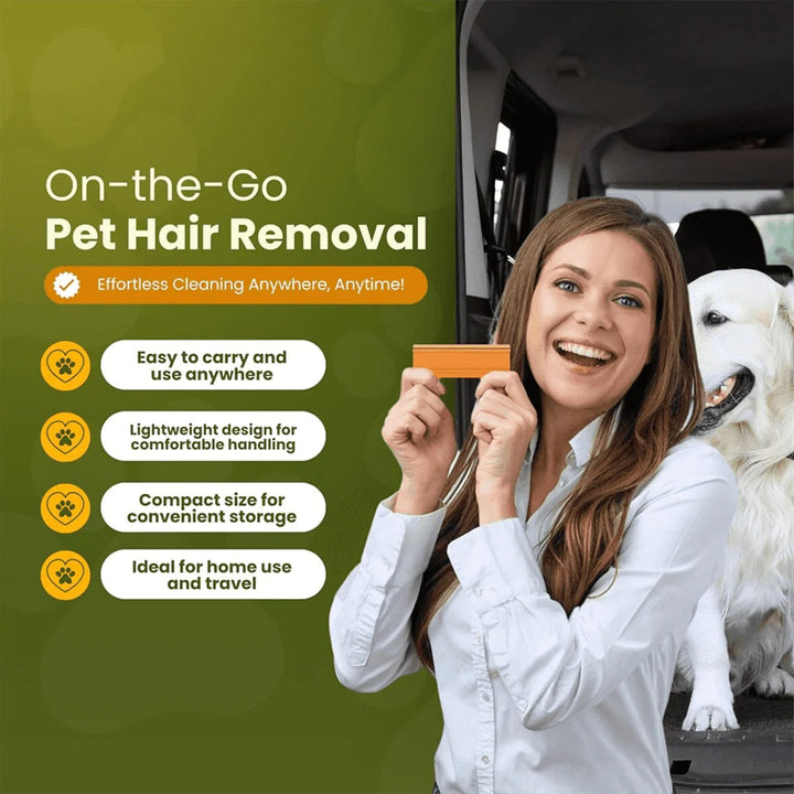Havenholt Reusable Pet Hair Remover for Car and Sofa