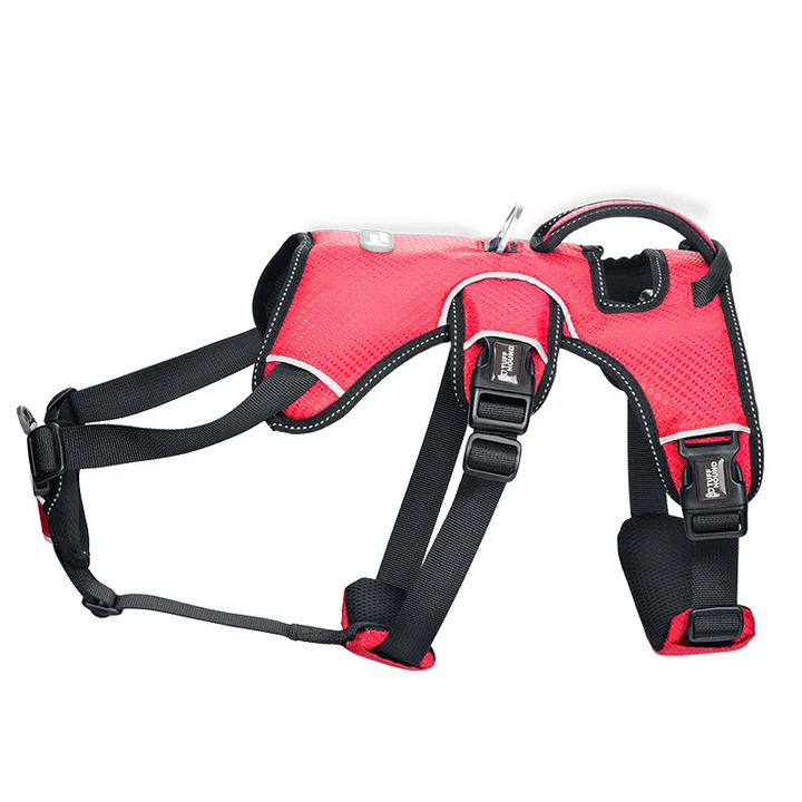 Adjustable Dog Harness with Top Handle and Secure Buckles