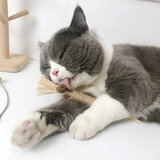 Natural Silvervine Cat Chew Toy