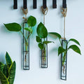 Havenholt Wall-Hanging Glass Propagation Station