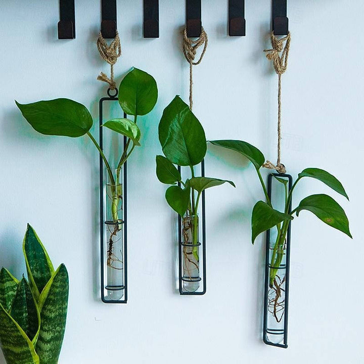 Havenholt Wall-Hanging Glass Propagation Station