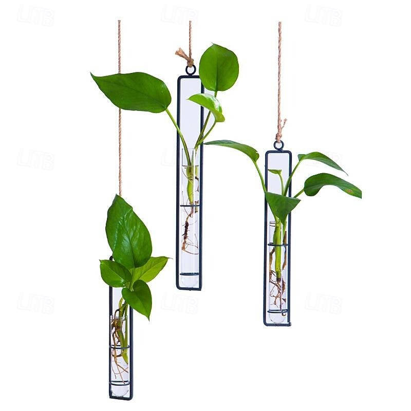 Havenholt Wall-Hanging Glass Propagation Station