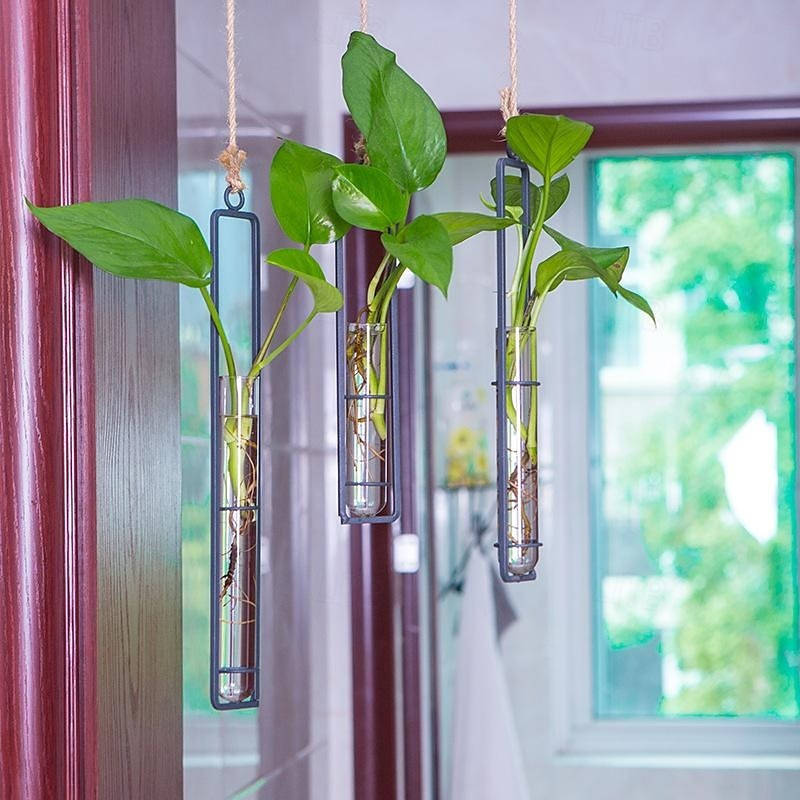 Havenholt Wall-Hanging Glass Propagation Station