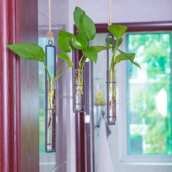 Havenholt Wall-Hanging Glass Propagation Station