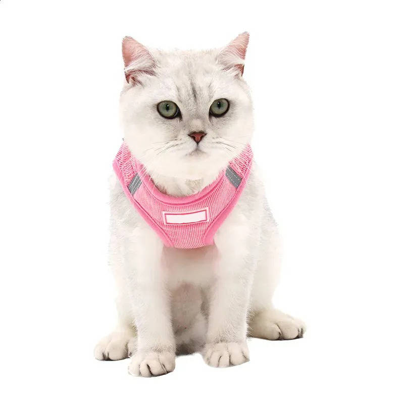Havenholt Reflective Corduroy Dog Harness and Lead Set