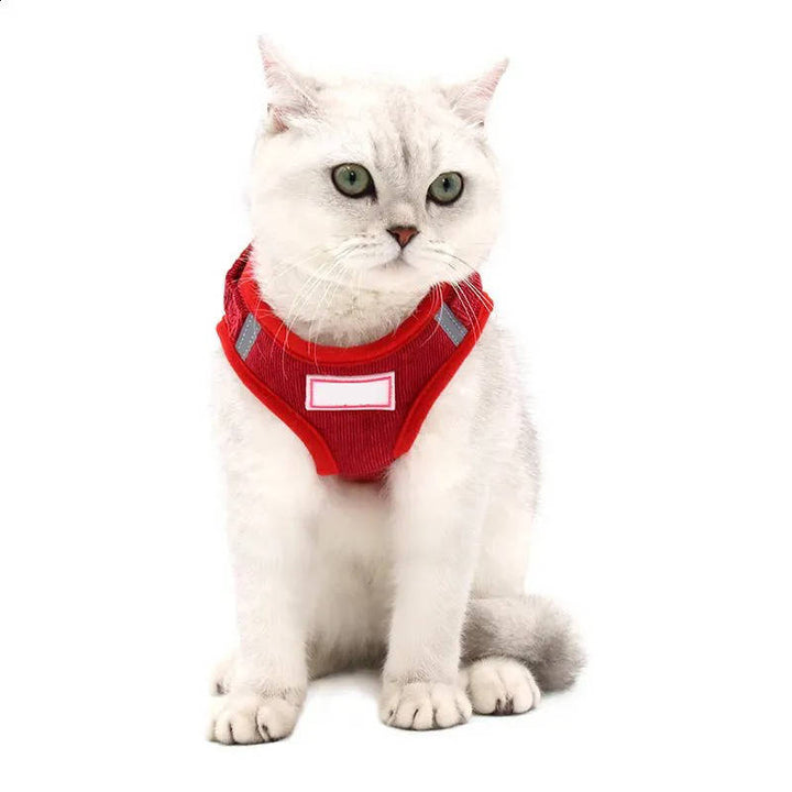Havenholt Reflective Corduroy Dog Harness and Lead Set