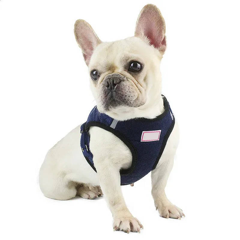 Havenholt Reflective Corduroy Dog Harness and Lead Set