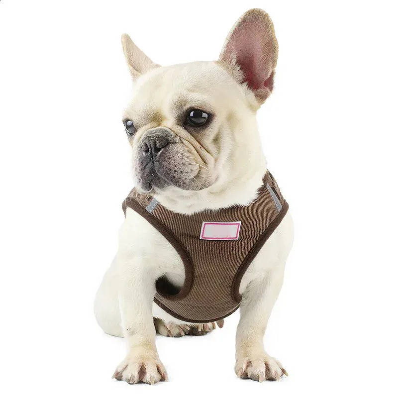 Havenholt Reflective Corduroy Dog Harness and Lead Set