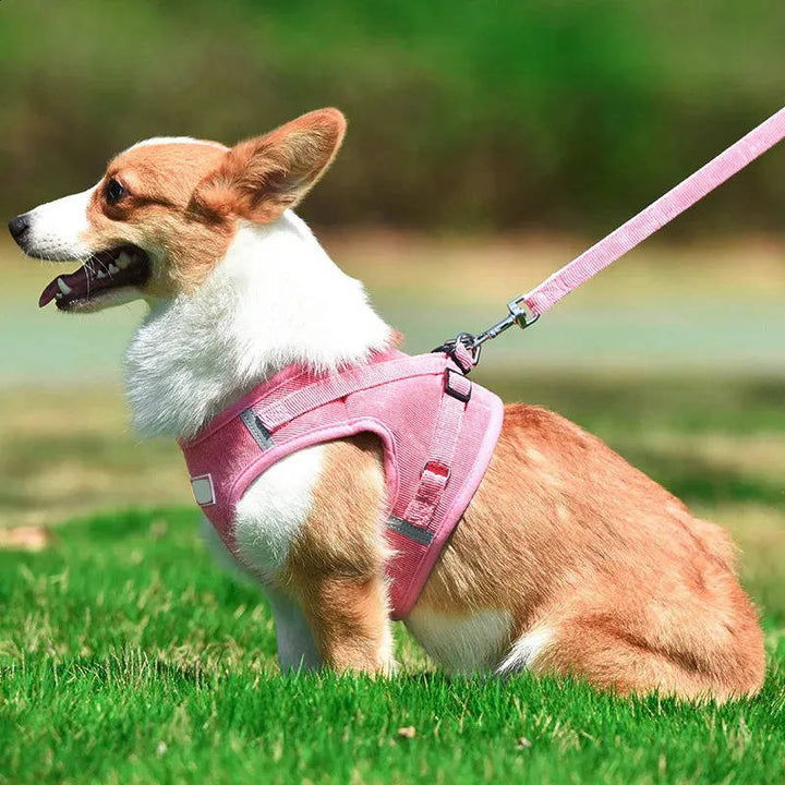 Havenholt Reflective Corduroy Dog Harness and Lead Set