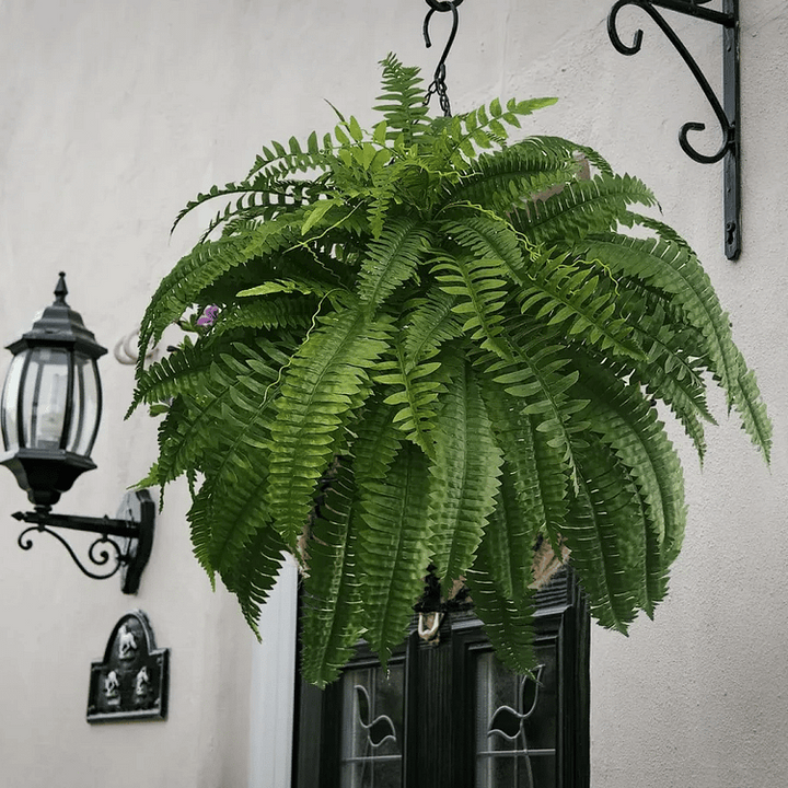Havenholt Artificial Boston Ferns, Pack of 18