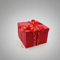 Havenholt Handmade DIY Surprise Memory Box Gift Kit