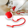 Interactive Cat Ball Toy with Motion Sensors and Three Speed Settings